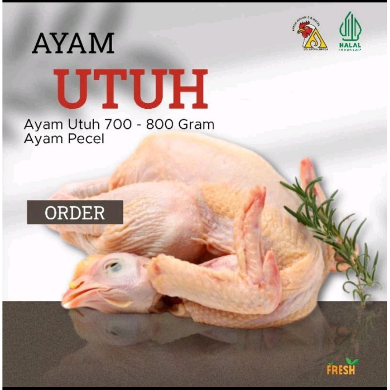 

ayam ukuran 1,8 fresh mentah