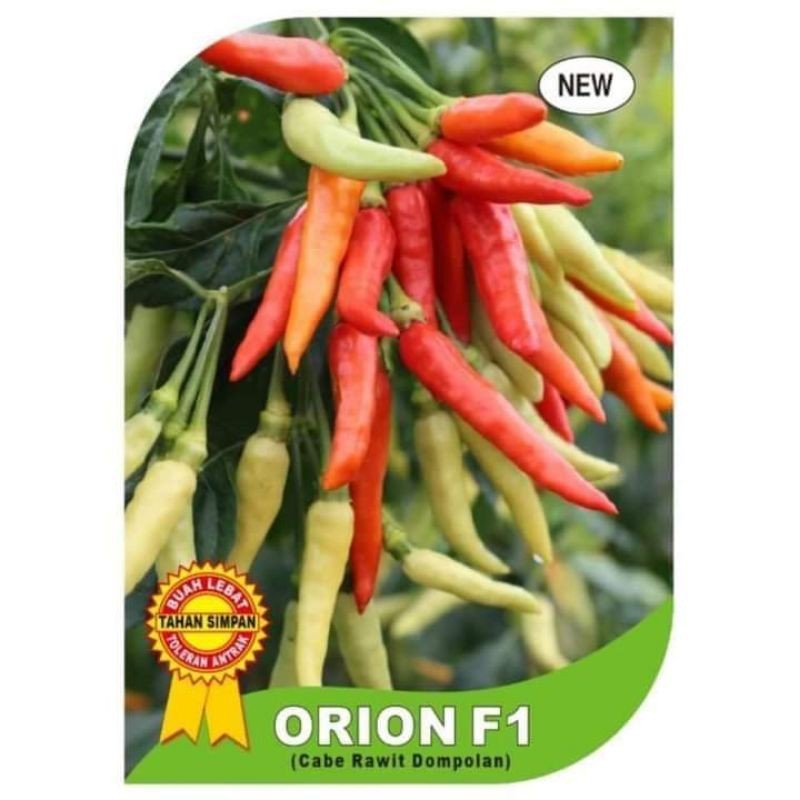 20 Biji Benih Cabe Cabai Rawit Dompolan ORION F1