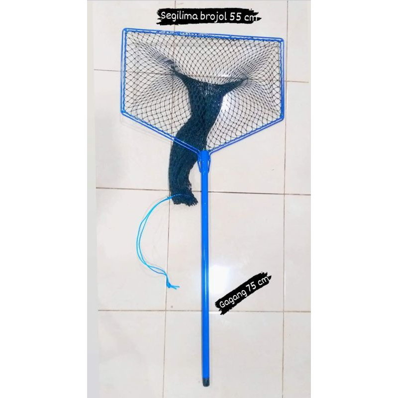 serokan ikan besar jumbo seser komsumsi gangang besi panjang serokan brojol ikan besar lele gurame m