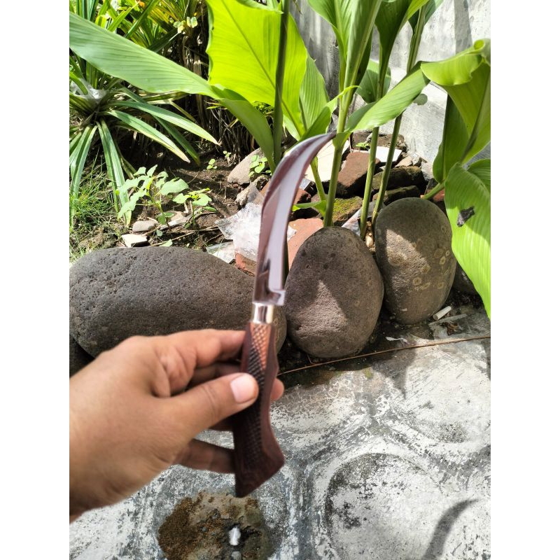 pisau raut pisau stek pisau okulasi baja hss kecil