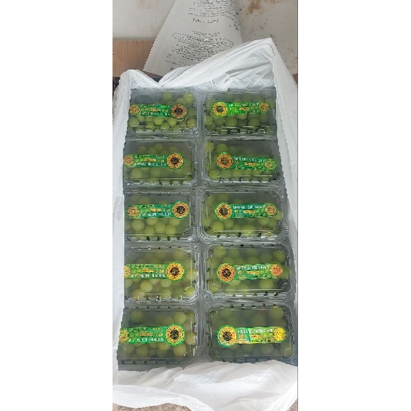 

shine muscat premium pack 500gr