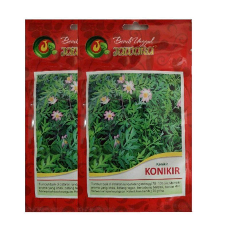 Benih Bibit Kenikir Konikir Benih Unggul Jawara - DAUN KENIKIR KONIKIR
