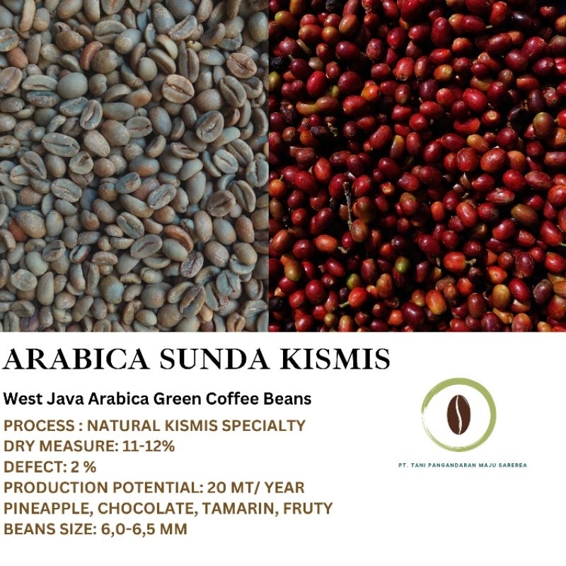 

Sunda Wangi | Green Beans Kopi Arabika Papandayan Sunda Kismis-1Kg (GRATIS ONGKIR)