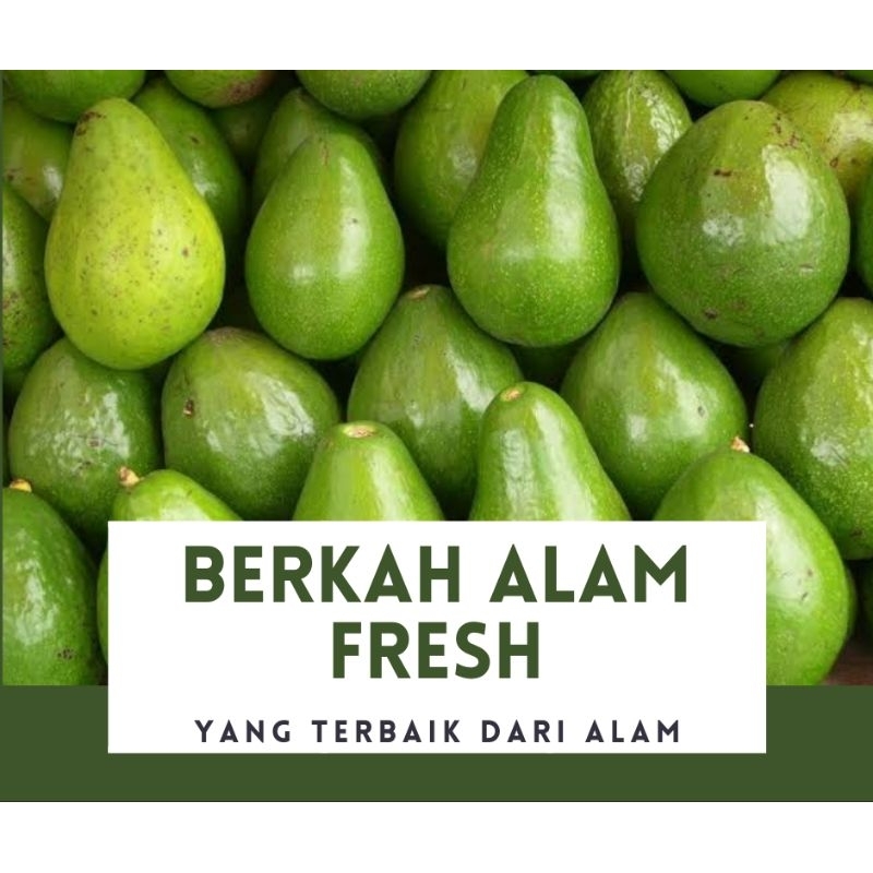 

ALPUKAT MENTEGA FRESH 500 GRAM