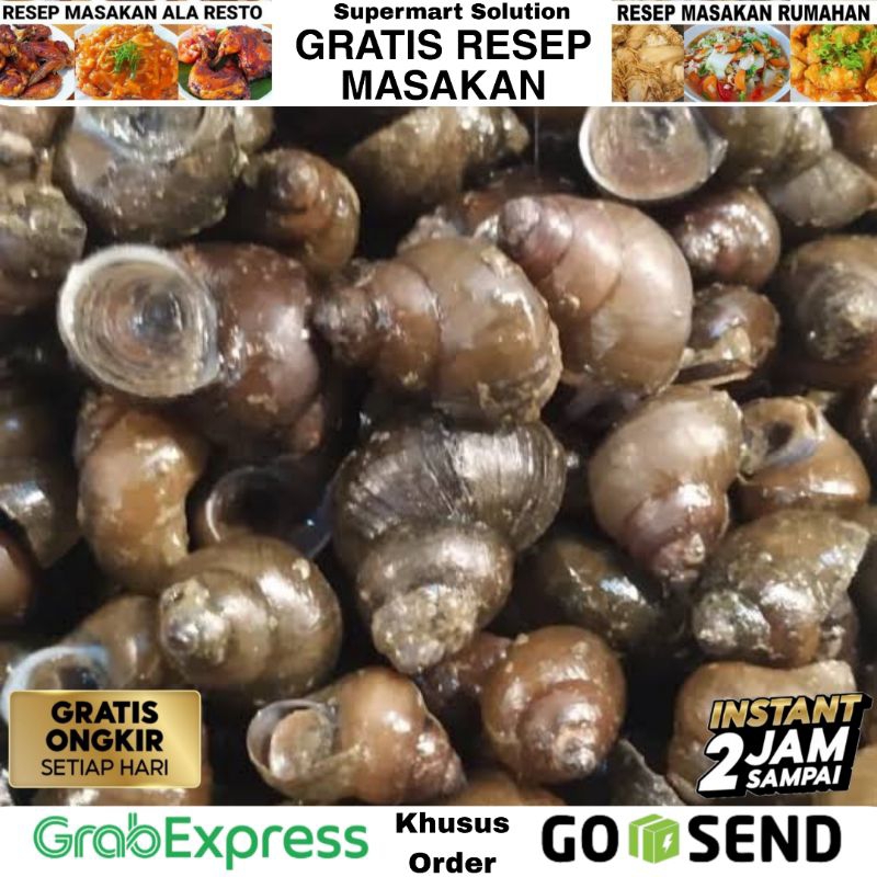 

Keong Sawah / Tutut / Siput gondang Seafood