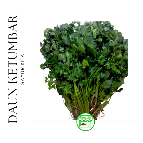 

Daun Ketumbar/Wansui 500 gram