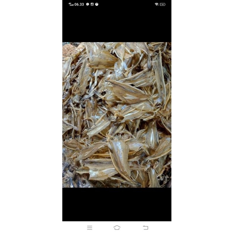 

Ikan Kerupuk/Ikan Jambrong/Ikan asin