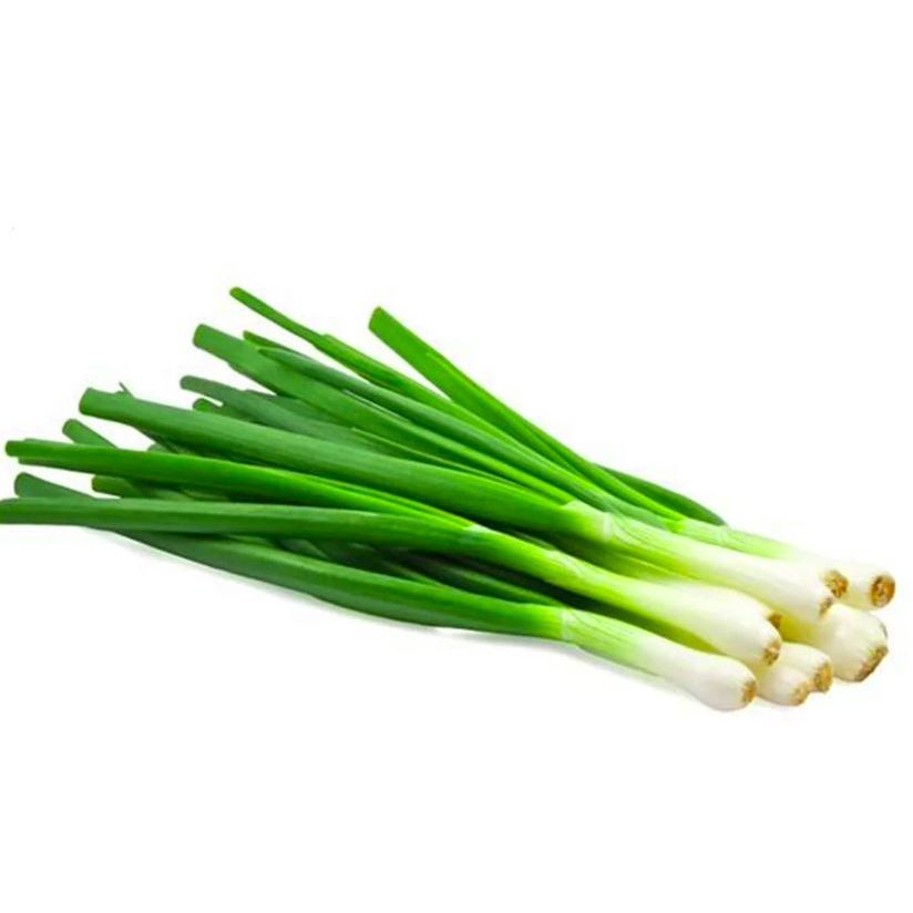 

Daun bawang / Sayur daun bawang hijau