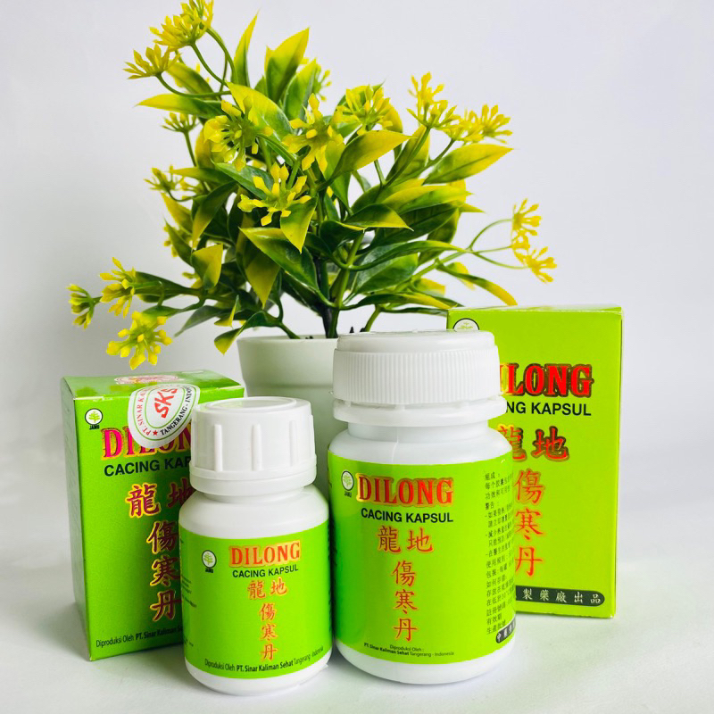 DILONG CACING KAPSUL