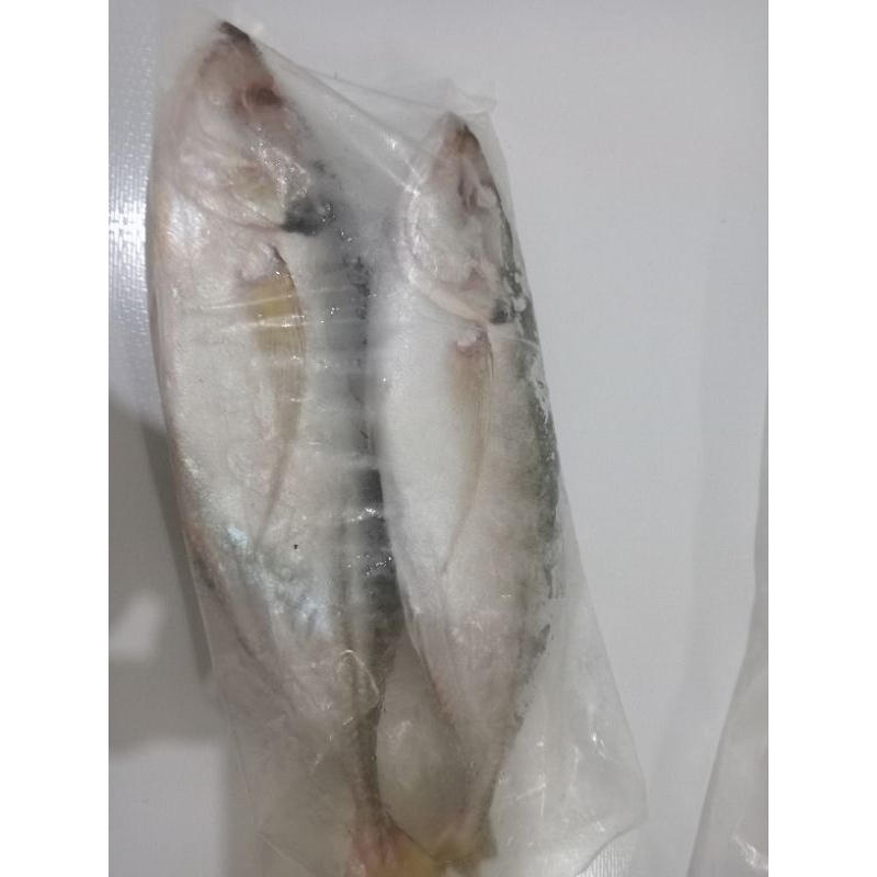 

kembungcomo fresh 2 ekor (350 gram)