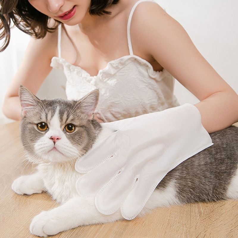 6Pcs Pet Gloves Pet Gloves Wipes Sarung Pet Sarung Kucing Siap Kirim