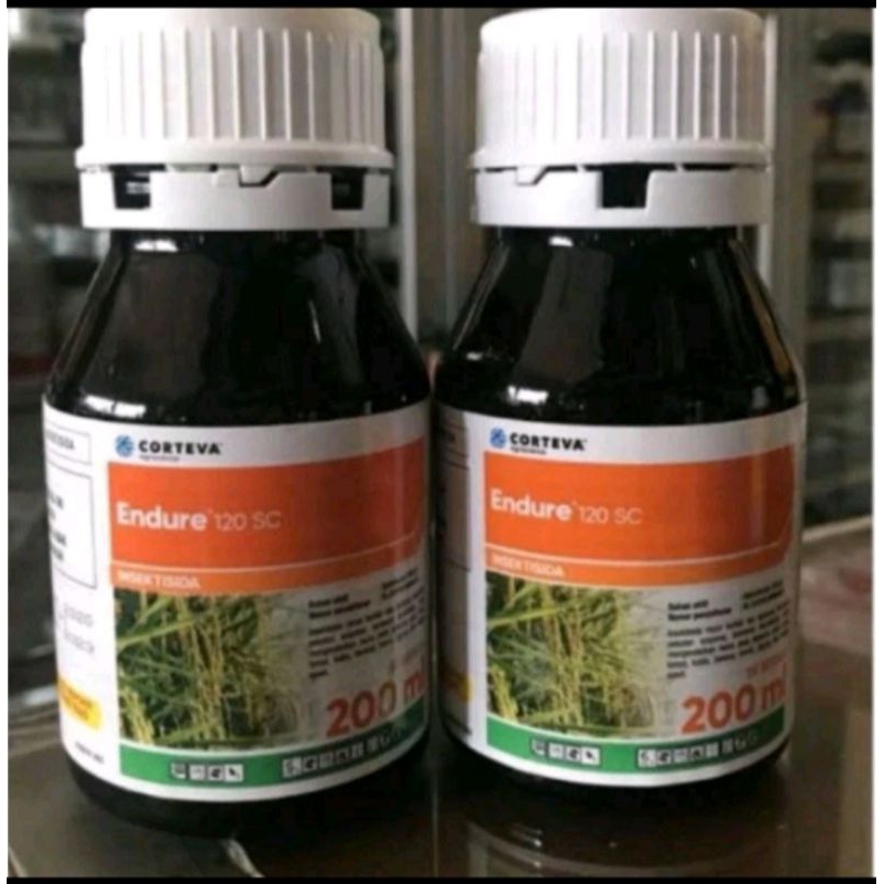 insektisida endure 120sc 200ml
