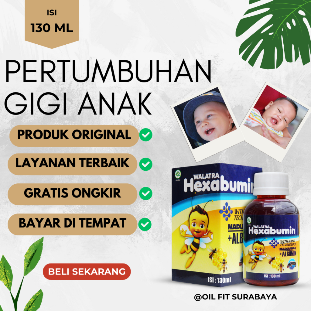 Obat Untuk Pertumbuhan Gigi Anak Gigi Ompong Cepat Tumbuh Madu Hexabumin Madu asli Original Bisa COD
