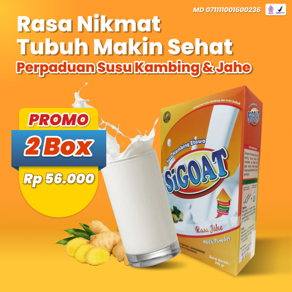 

2 Box SiGOAT Jahe, Susu Etawa Bubuk Bantu Cegah Osteoporosis, Perkuat Tulang dan Sendi