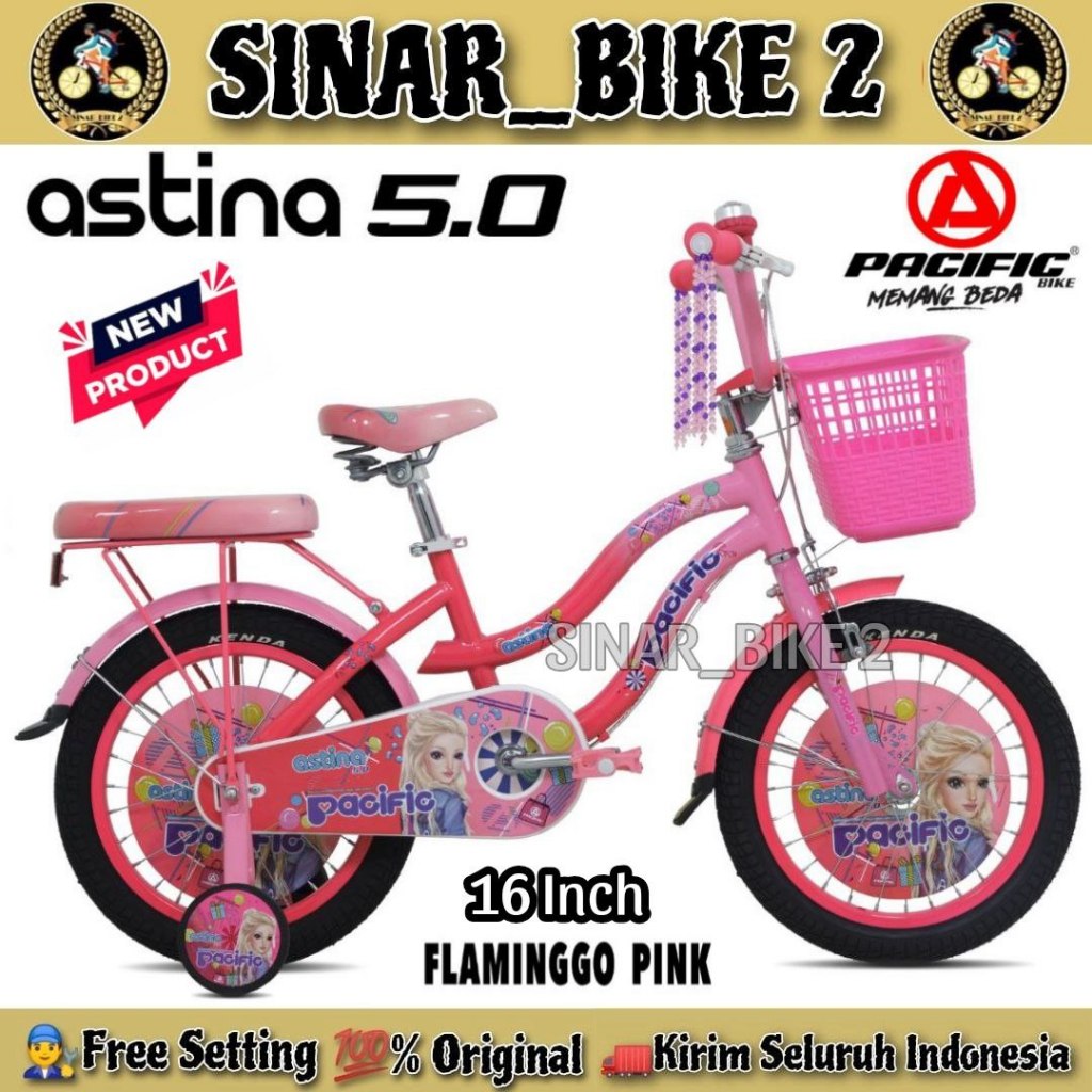 Sepeda Anak Perempuan PACIFIC ASTINA 5.0 Uk 16 Inch Keranjang