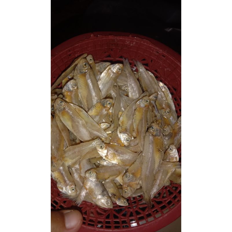 

ikan asin 500g