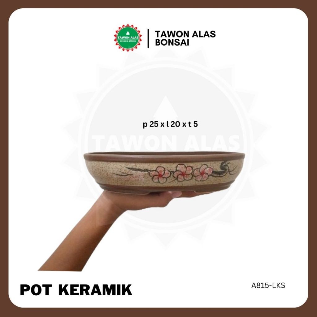 Pot Bonsai Keramik Oval Lonjong