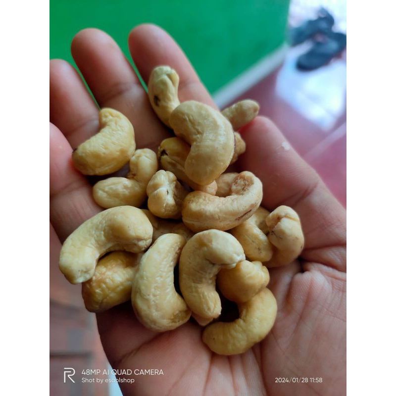 

kacang mete
