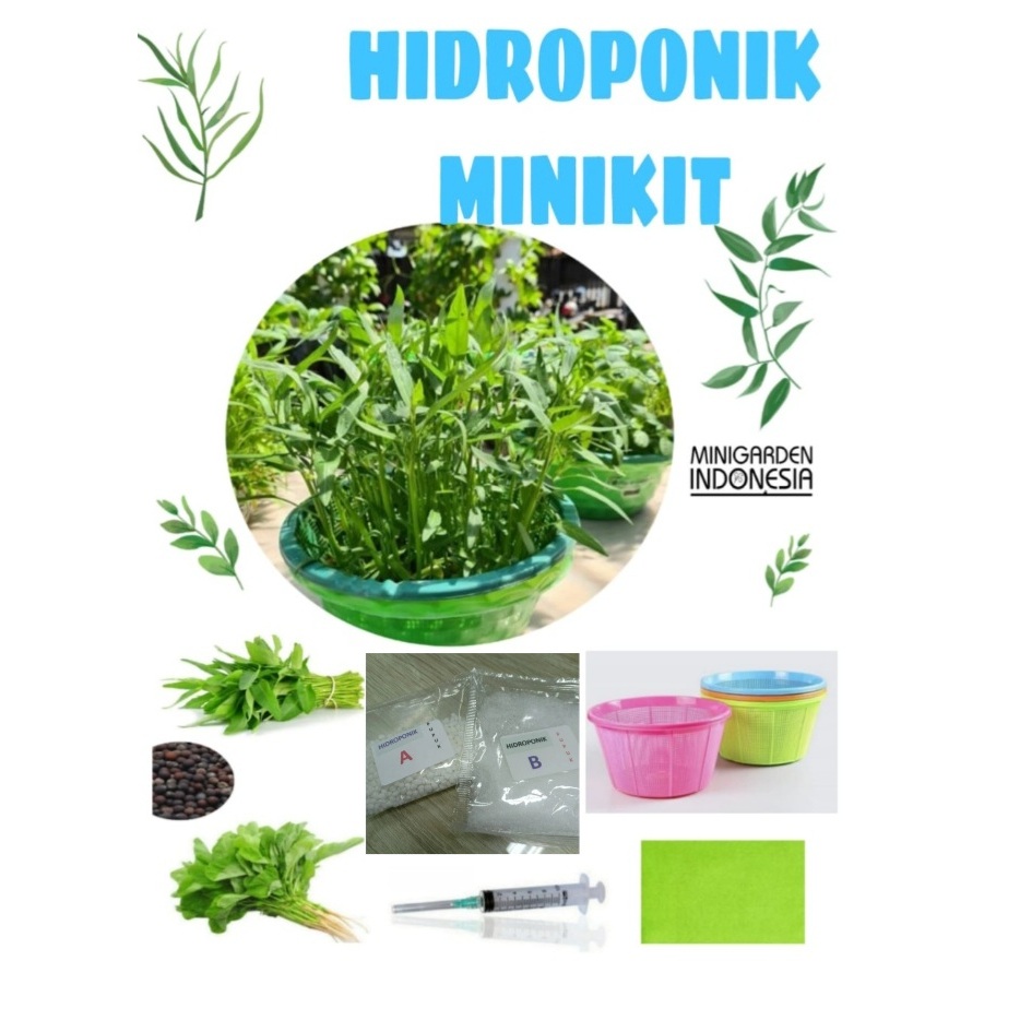 HIDROPONIK MINIKIT KANGKUNG BAYAM paket lengkap berkebun sayur sayuran