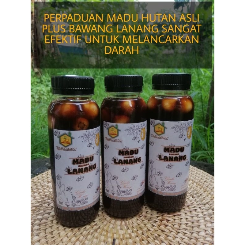 

Madu Hutan Bawang Lanang