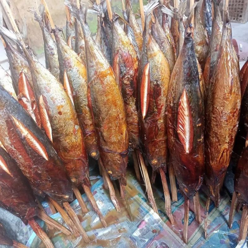 

ikan laut