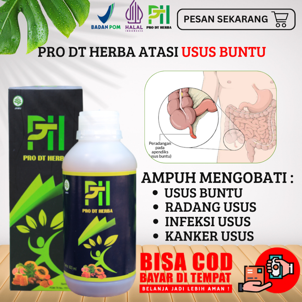 Obat Usus Buntu Radang Usus Infeksi Usus Sakit Usus Buntu Tanpa Operasi Paling Ampuh PRO DT  HERBA