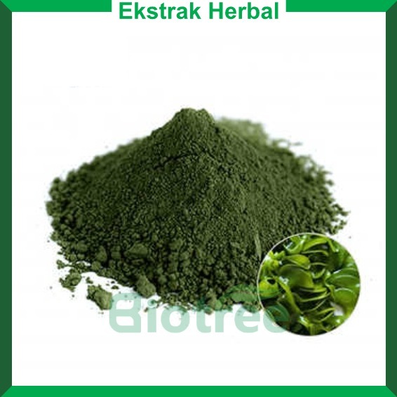 

Ekstrak Powder Spirulina Protein 60% - 1 kg