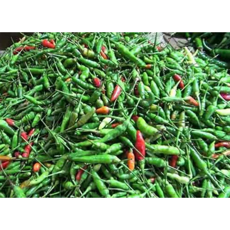 

cabe rawit hijau asli segar sangat pedas per 250 gram