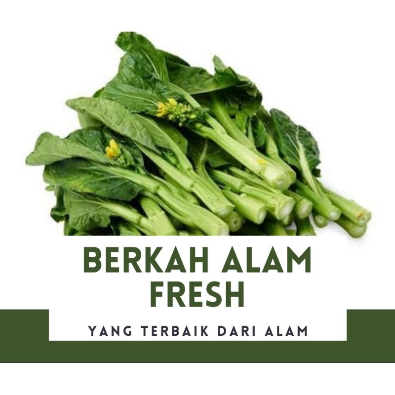 

SAYUR KAILAN FRESH 1000 GRAM