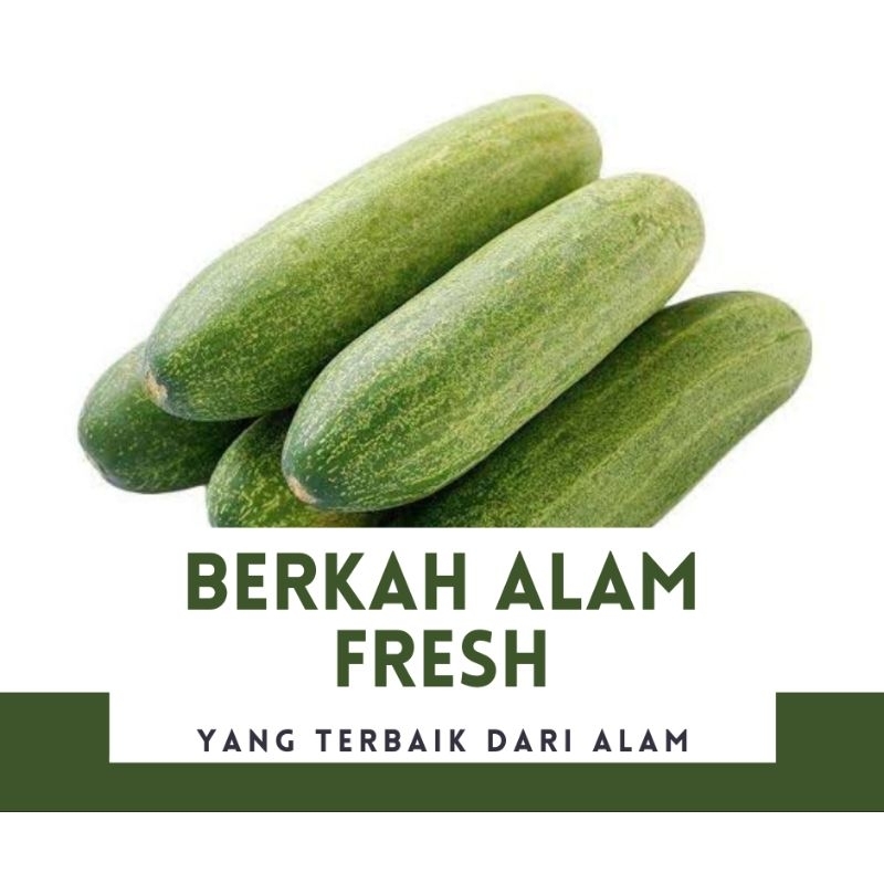 

TIMUN LALAP, TIMUN BABY, TIMUN KECIL FRESH 1000 GRAM