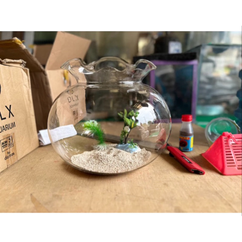 AQUARIUM KACA BULAT TOPLES 19LTR