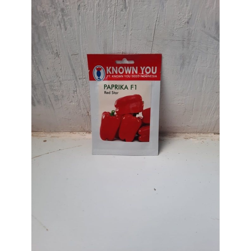 Benih Paprika F1 Red Star SP | Bibit Paprika Produk KYS