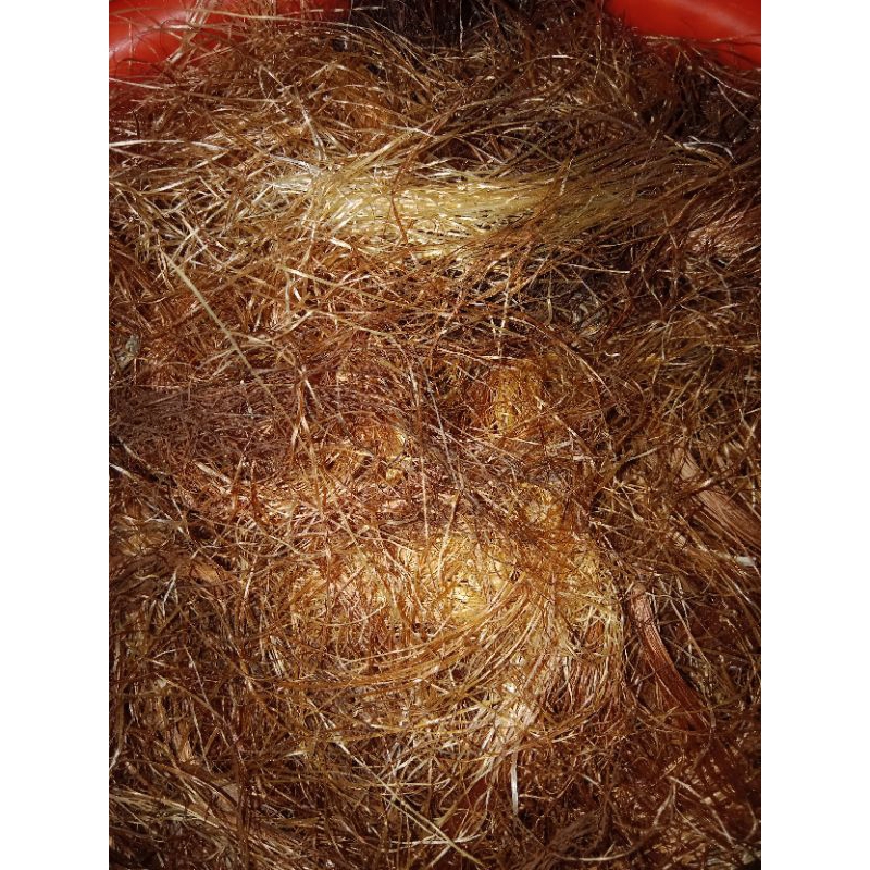 

Teh Rambut Jagung/Dried Corn Silk Kemasan 15gr