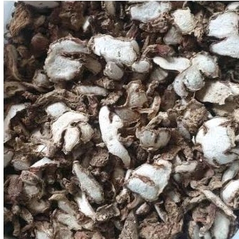 kencur keping kering