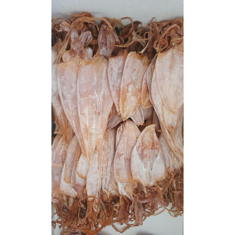 sotong kering-juhi kering-sotong kalimantan-sotong pangkong-juhi kering