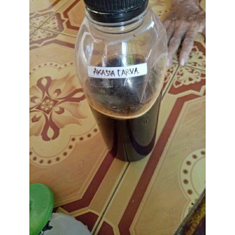 

madu akasia