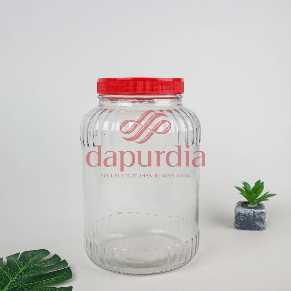 Toples Kedaung /Toples Kaca KIG TP-5 PM Murah