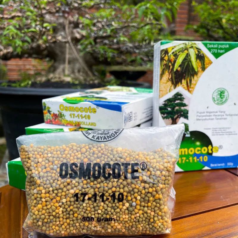 DEKASTAR OSMOCOTE 17-11-10 500 GRAM