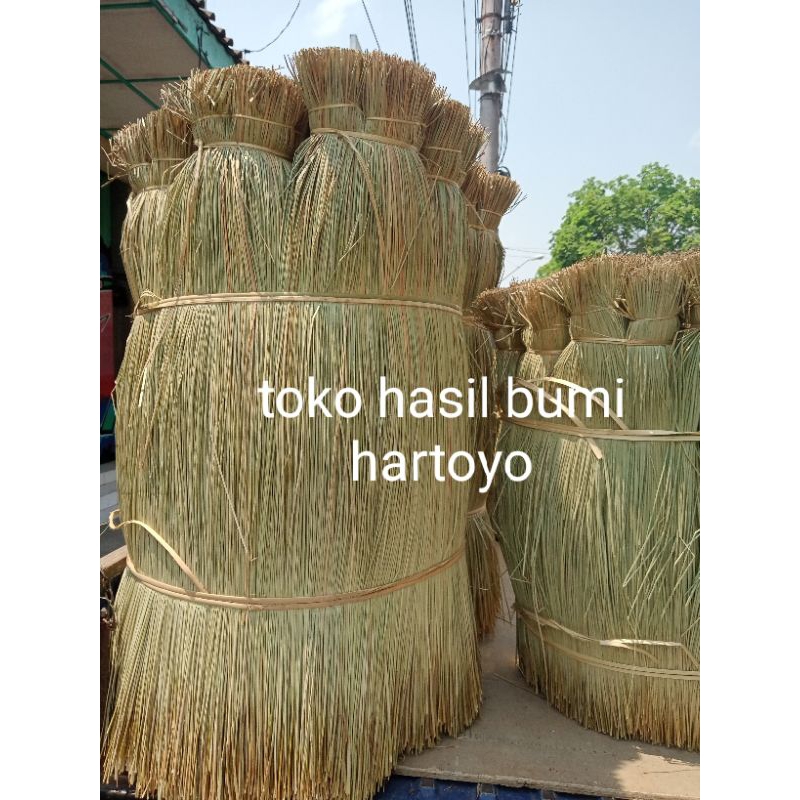 Mendong / rumput kerajinan mendong