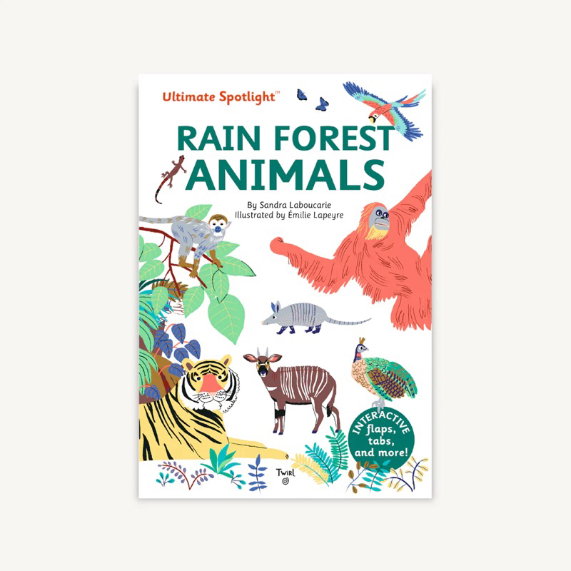Ultimate Spotlight: Rain Forest Animals