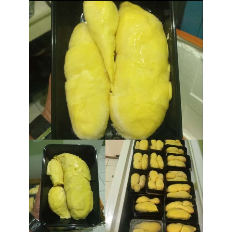 

Duren Montong,Durian Montong