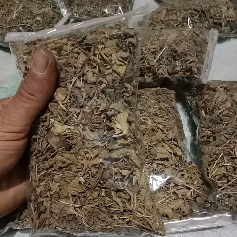 

Daun pegagan kering termurah bersih siap pakai