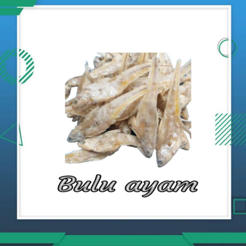 

IKAN ASIN BULU AYAM KERING