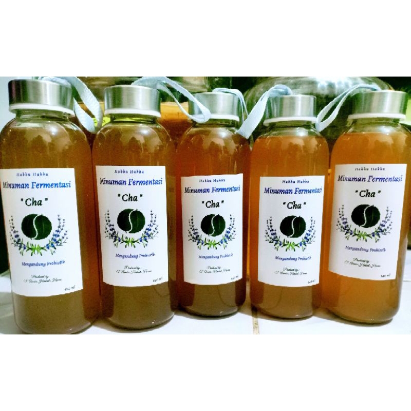 

HABU HAKKU KOMBUCHA 420 ml