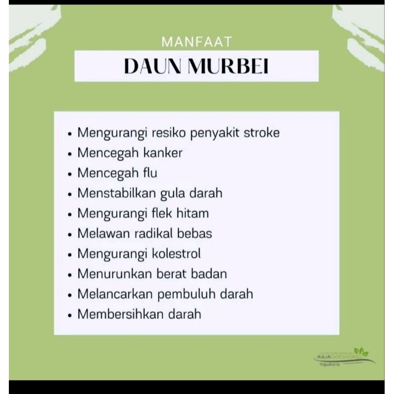 

Daun murbei/murbey segar tanpa tangkai