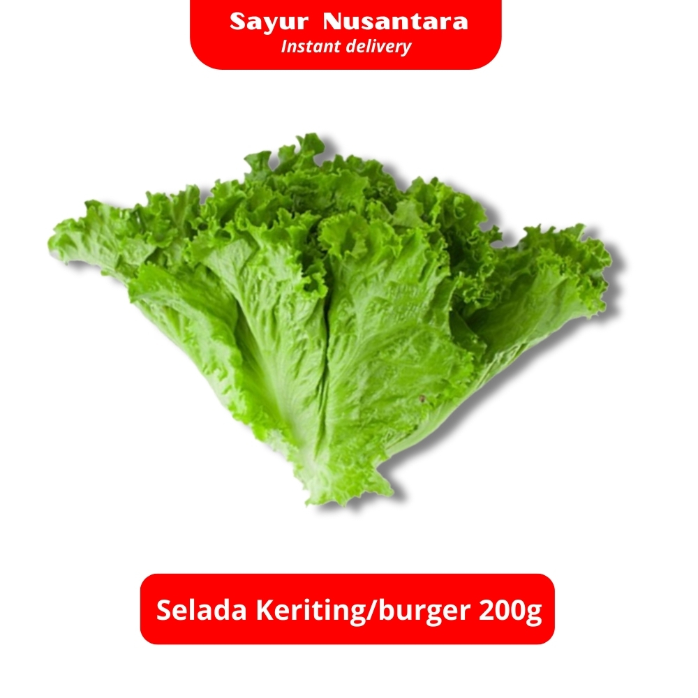 

Sayur Selada Keriting / Burger /Kebab 200gr - Sayur Nusantara