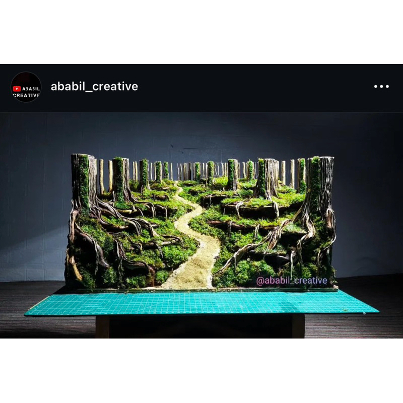 HARDSCAPE JUNGLE UKURAN 60 CM SIAP PASANG | BONUS MOSS