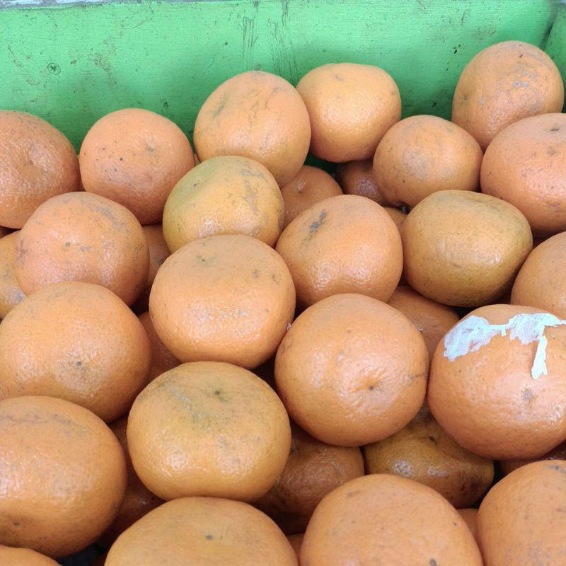 

Jeruk Mandarin 1kg