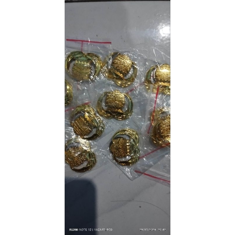 PIN KORPRI, Lencana Korpri ASN