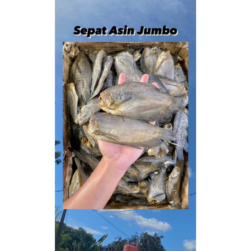 

Ikan Sepat asin Jumbo 250gr